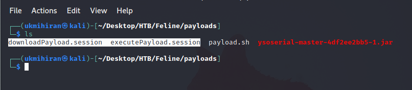 Payload Files